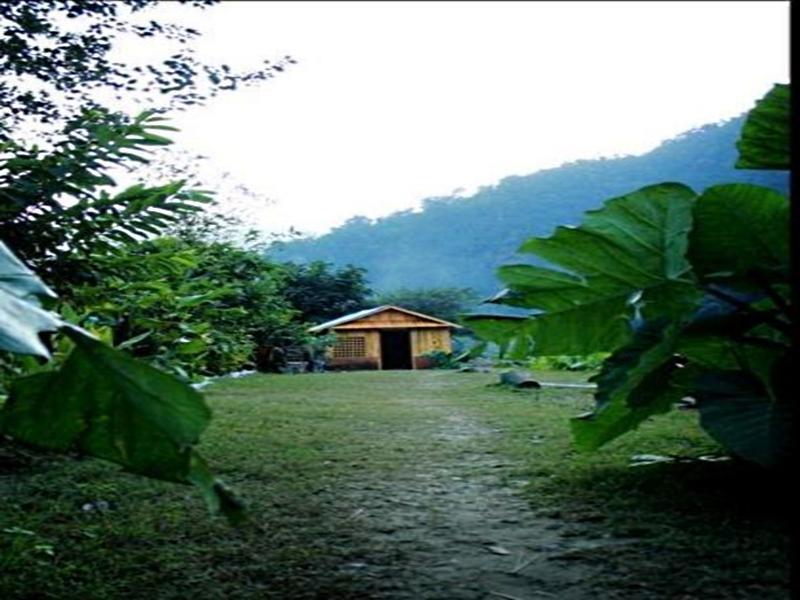 Elephant Brook Resort Rishīkesh Dış mekan fotoğraf